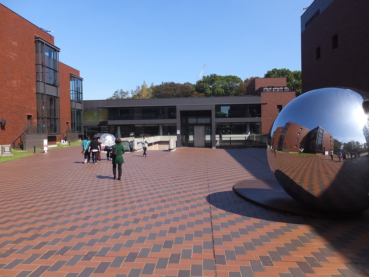 🎨 도쿄도 현대미술관 (도쿄도 겐다이 비주츠칸) 이미지 1